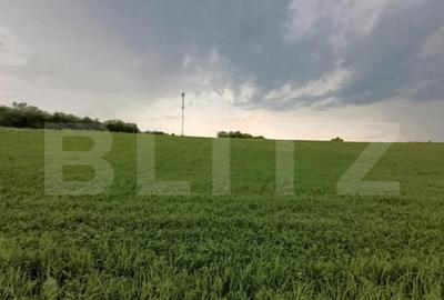 Casa semifinisata , teren generos, ideala pentru personal - 2