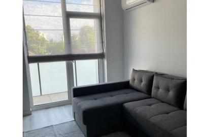 Apartament cu 2 camere decomandat în Parcul Carol - 5