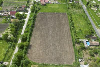 Teren Intravilan de 3,090 mp in Cuvin - 31