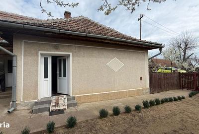 Casă cu 3 camere cu Teren 1798 Mp în Pișcolt - 7