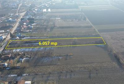 Teren Construcții intravilan de 6057 mp, în Rădulești - 2