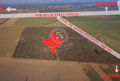 Ocazie- Teren Intravilan de Vanzare- Peris Snagov- Doar 10 euro/mp - 4