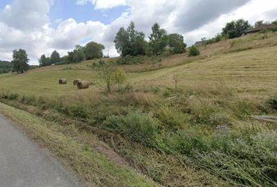 Teren intravilan Rosia, 12 000 mp, cu proiect aprobat. Comision 0. - 3