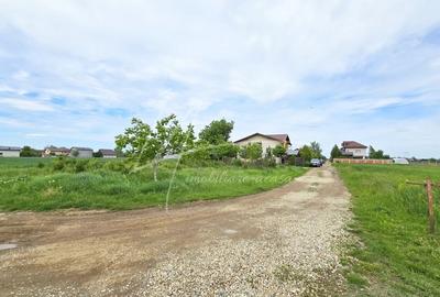 Bolintin Deal Teren intravilan in zona rezidentiala, la 1 km de A0 si A1 - 5