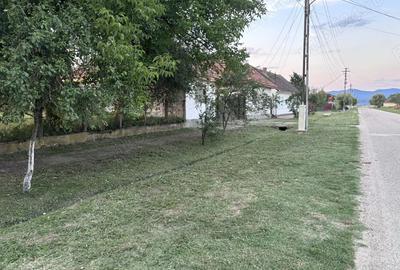 Vand casa 3 camere plus anexa - 4