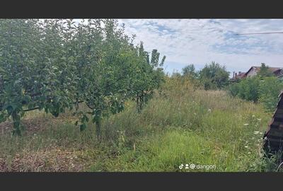 Casă cu 8 camere cu Canalizare în Drăguțești - 19