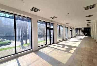 Spațiu comercial, de 485 mp, în Șagului - 3