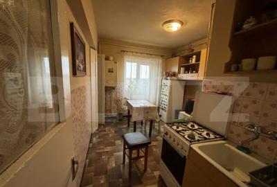 Apartament cu 2 camere semidecomandat în Botizului - 1