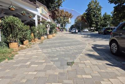 Spațiu comercial restaurant cu terasă de vânzare în  Olimp Constanța - 5