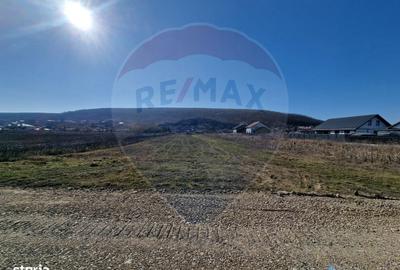 Spațiu comercial, în Hemeiuș - 9