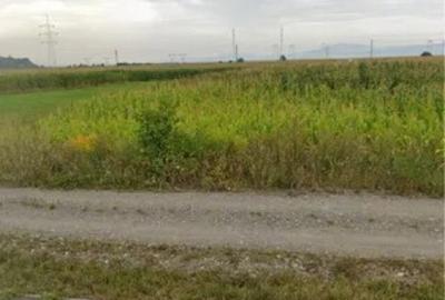 Teren Intravilan Calea Bucuresti 8.752 mp - 2