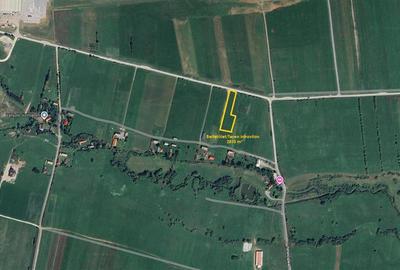 Teren Construcții intravilan de 2810 mp, în Sineu - 11