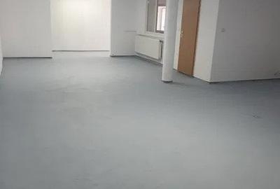 Hala industriala, 90mp zona Gusterita - 2