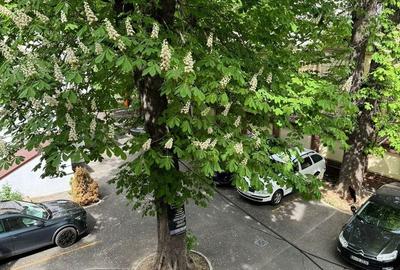 Apartament cu 2 camere decomandat, mobilat în Ultracentral - 14