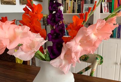 Villa with  7 rooms/ Heated Pool/ Pipera - 17