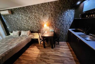 Apartament cu 2 camere decomandat în Grăniceru - 5