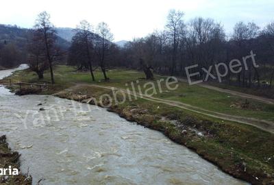 Teren de 3000 mp, în Corbeni - 8