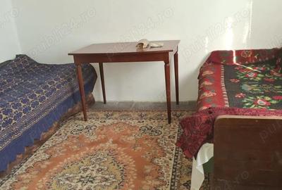 Casă cu 2 camere cu Teren 4098 Mp în Deagu de Jos - 8