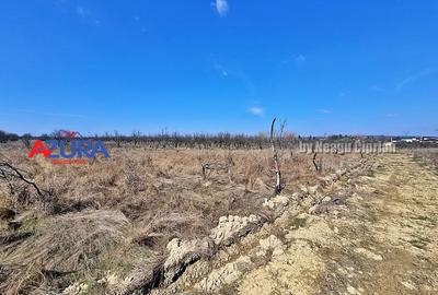 AZURA IMobiliare - Teren Iefin Bascov 3km de Giratoriu - 3