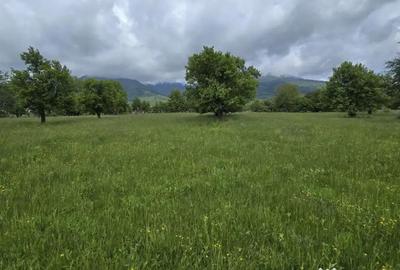 Teren în Prundu Bârgăului - 3