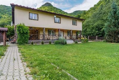 Cabana de vanzare -Marisel, 10 camere, terasa 41mp, piscina, ciubar - 2