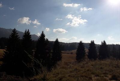 Teren cu Potential Turistic Major in Poiana Brasov - 3