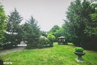 Spațiu comercial, de 700 mp, în Tăuții-Măgherăuș - 5