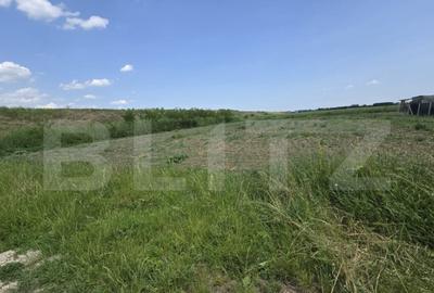 Teren intravilan, de vanzare, 2100 mp, zona Vetis - 3