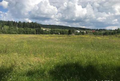 Teren de 10000 mp, în Șaru Dornei - 2