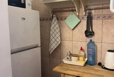 Vand Studio Parcul Cismigiu, str George Vraca 7 - 3