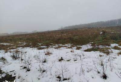 Teren de 1000 mp, în Siloz