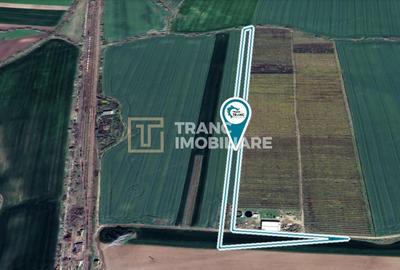 Teren agricol extravilan de 19443 mp, în Zimandu Nou - 2