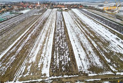 Teren de 6245 mp, în Ilieni