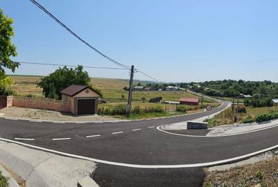 Teren de 1000 mp, în Horlești - 2
