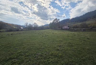 Teren de 2000 mp, în Stulpicani - 5