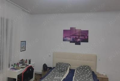 Casa Lipovei de vanzare - 2