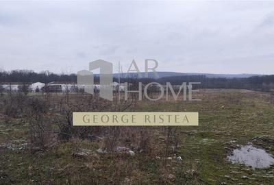 Teren Construcții intravilan de 7500 mp, în Sud - 1