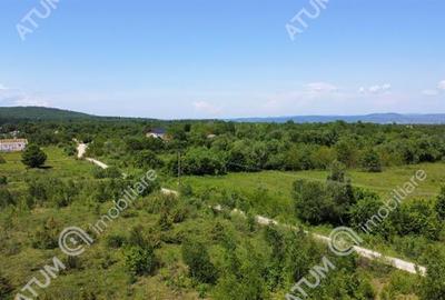 Teren extravilan de vanzare 800 mp in Avrig zona Valea Avrigului - 2