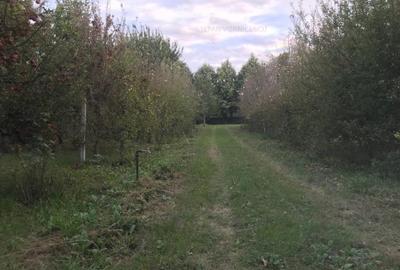 Teren Construcții intravilan de 500 mp, în Central - 8