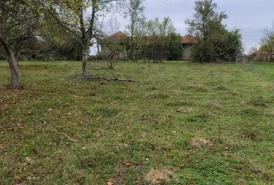 Vand casa ?i terenul aferent de 2 hectare intravilan - 3