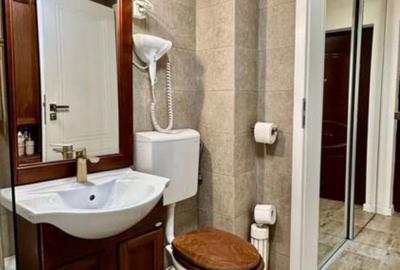 Apartament cu 2 camere semidecomandat, mobilat în Baicului - 7