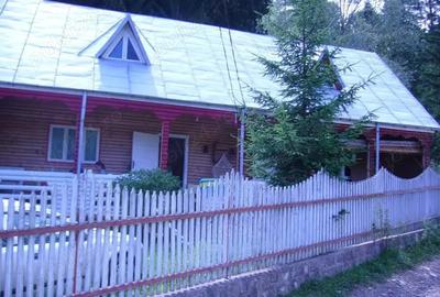 Lepsa Vrancea ,zona retrasa linistita si sigura,cabana si teren de vanzare - 7