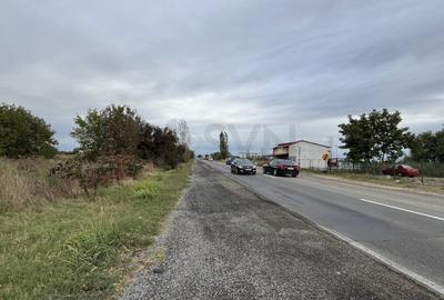 Teren Construcții intravilan de 15000 mp, în Ionești - 13