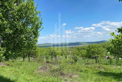 Teren de 1000 mp, în Sibiel - 2