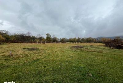Teren de 900 mp, în Șinca - 10