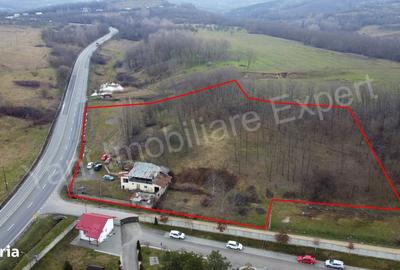 Spațiu comercial, în Dedulești - 12