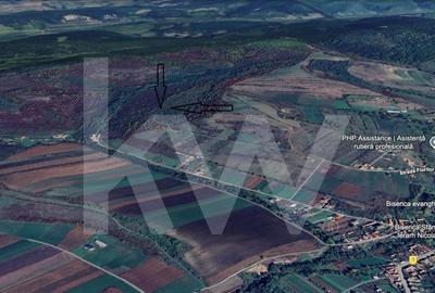 Teren Extravilan de vanzare, Hamba (Sibiu), 38.400 mp (3,84 ha), Pret competitiv - 5