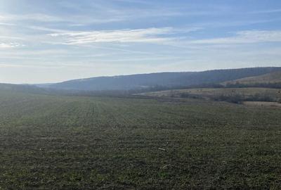 Spațiu comercial, în Hidiș - 7