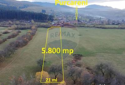 Teren de 5800 mp, în Purcăreni - 6