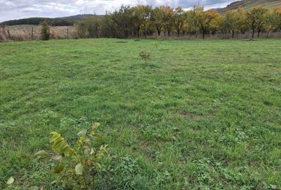 Spațiu comercial, în Central - 3